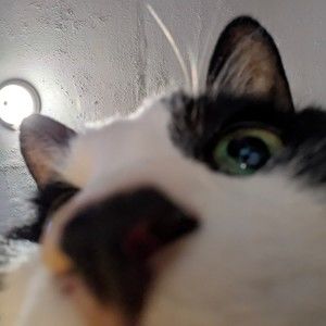 Meet your Posher, Caitlyn